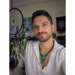 Collier & pendentif tête de loup en aventurine et perles en aventurine